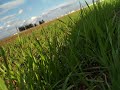 ابراهيم حسون شبيهك بدر الليل بل أنت أنور