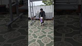 ఉయ్యాలకి ఎవరైనా భయపడతారా🤣👌 #dog #dogs #shortsvideo #shortsviral #shortsfeed #pets #pet
