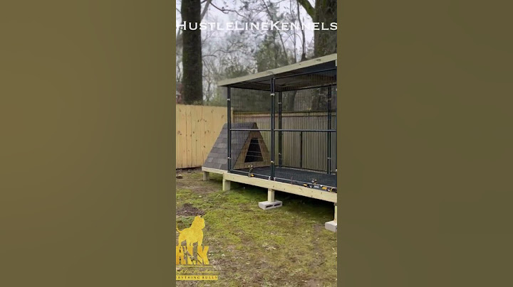 Building our hand built outdoor dog/pet kennel #kennel #dogkennel #petkennel