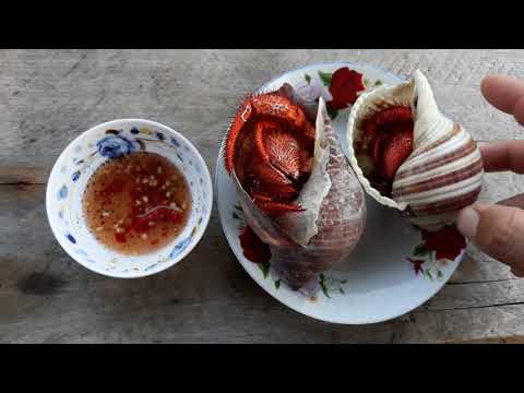 Video THỬ ĂN ỐC MƯỢN HỒN VÀ CÁI KẾT / ỐC MƯỢN HỒN CÓ ĂN ĐƯỢC... - youtube