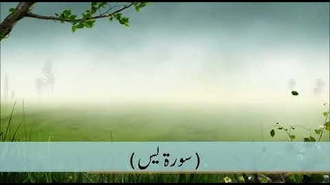 سورة يس ( ياسين ) ترجمة ب أردو