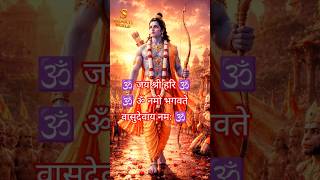 भगवान विष्णु के सभी अवतार | विष्णु सहस्त्र रूप दर्शन | Divine Vishnu Avatars Full Collection 🙏🕉️