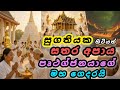 සුගතිය තාවකාලිකයි… පෘථග්ජනයාගේ මහගෙදර සතර අපාය | සක්කාය දිට්ඨිය දුරුකරගන්න