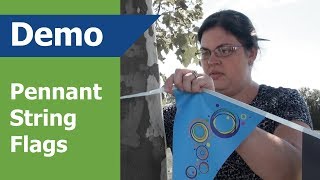 Pennant String Flag Demo  vispronet