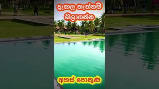 අහස පකණ දකල නතනම බලගනන. Ahas Pokuna Cabana In Sri Lanka Kabana Hotels In Kurunegala