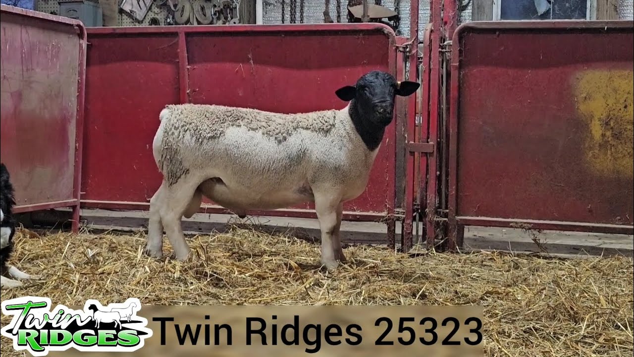 Twin Ridges Twin Ridges 25323 RETAINED - YouTube