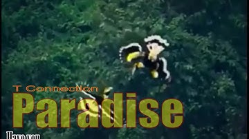 T Connection - Paradise