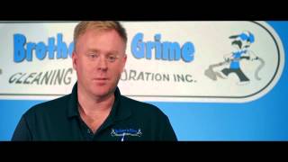 Mold Removal Saskatoon - Mold Facts