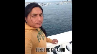 Video thumbnail of "CUSHI DE ECUADOR - TODO MI AMOR - (PRIMICIA 2016)"
