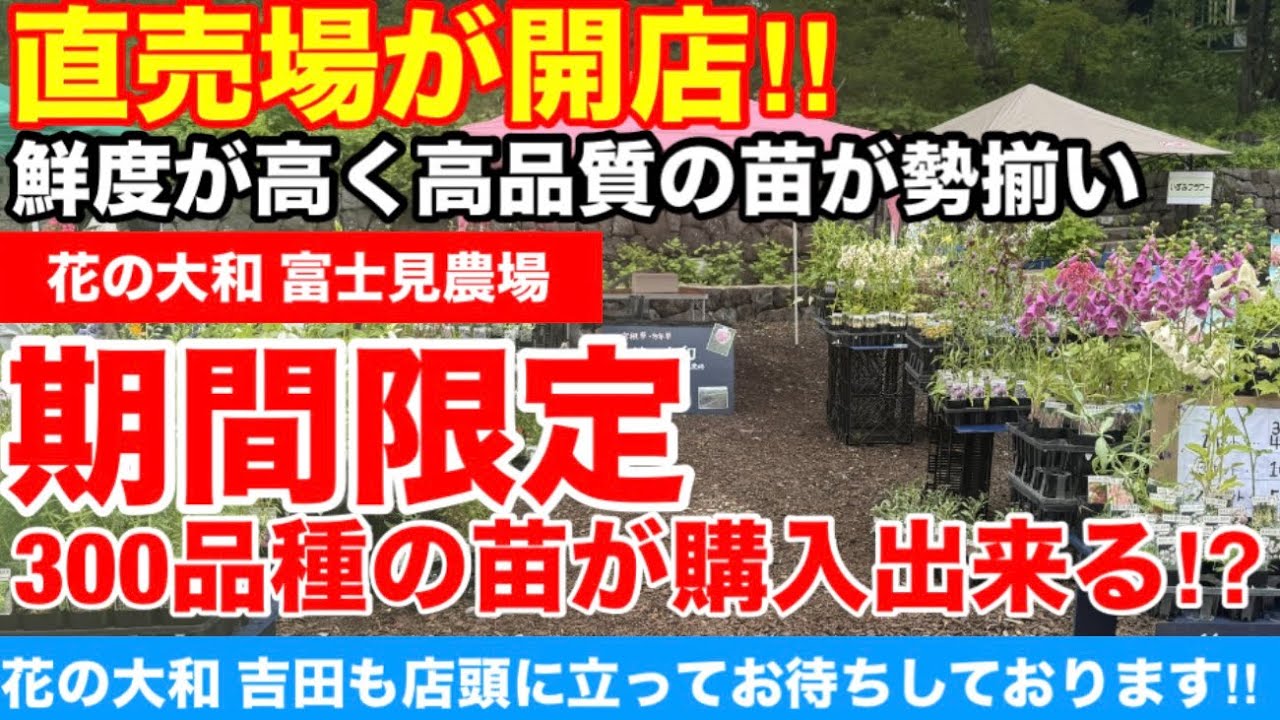 直売場が開店】鮮度が高く高品質な300品種以上の苗が購入できる⁉︎詳細
