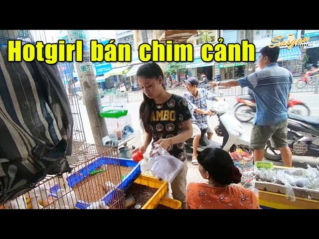 Đi Chợ Chim Cảnh Sài Gòn, Lê Hồng Phong Quận 10 gặp em Hotgirl Bán Chim Giá  Rẻ - YouTube