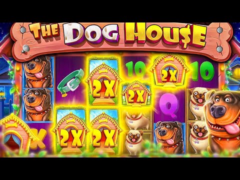 Видео: ВСЕ ИЛИ НИЧЕГО В DOG HOUSE MEGAWAYS! СЛОВИЛ 4 БУДКИ И СИНИХ СОБАК В ПРАВОЙ БОНУСКЕ!