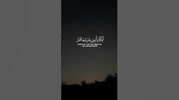 #قرآن #quran #المصحف #اكسبلور #explore #لايك #yasseraldossary #الشيخ_ياسر_الدوسري #سورة النمل
