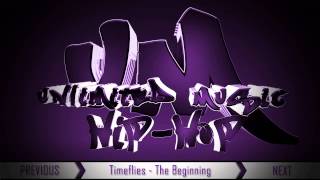 Timeflies - The Beginning