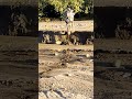 Триал эндуро мотокросс. Камчатка под вулканом в сухой реке