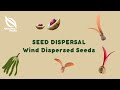 Seed Dispersal: Wind Dispersed Seeds