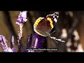 Ref:4vTTXOlZtug Argotti botanic gardens and resources centre promo