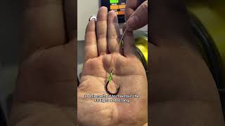 新款无结绑钩机，拉力直接测到42.35公斤 #fishing #fishinghacks #fishinghacks #fishinglife #fishingtips #fishingvideo