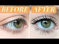 LASH LIFT EXPERIENCE + REVIEW | IS IT WORTH IT? | LeighAnnSays