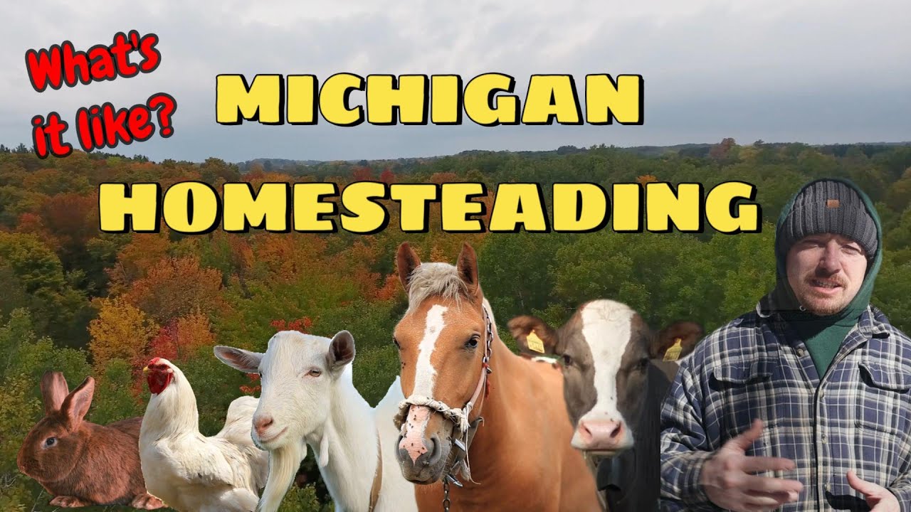 MICHIGAN HOMESTEADING/RAISING RABBITS & BEES IN MICHIGAN