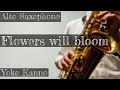 【Alto Saxophone & Pf】花は咲く（ぷりんと楽譜）