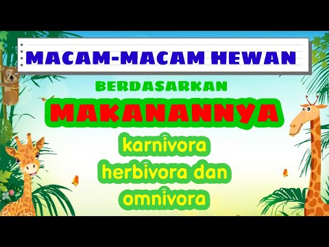 Macam-macam hewan berdasarkan makanannya, karnivora, herbivora, omnivora