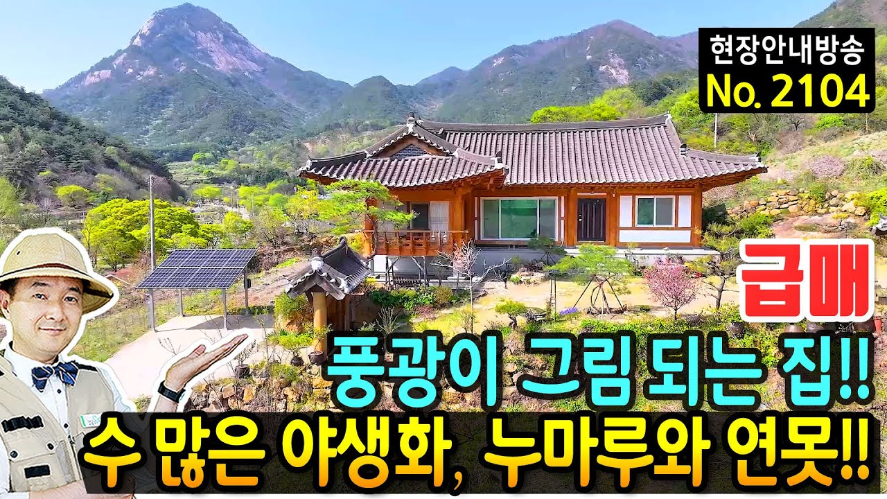 (강추) 모든 풍광이 그림이 되는 집 한옥 전원주택 매매 해발 250미터 영험한 바위산과 청정 계곡 누마루 연못 수많은 야생화가 있는 정원 정남향 문경부동산 - 발품부동산TV