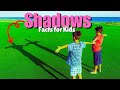 Understanding Shadows