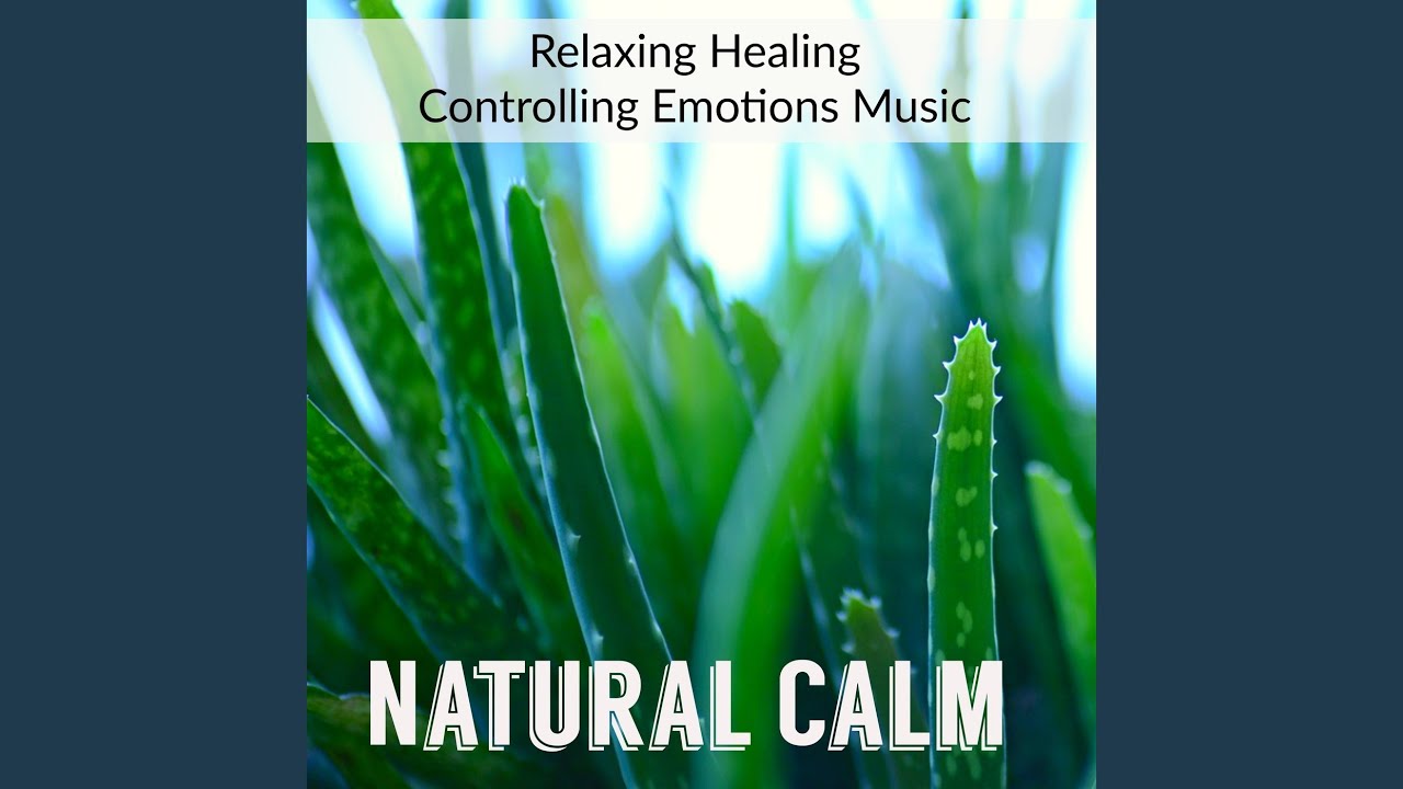 Watch Starry Sky on YouTube Watch Starry Sky on YouTube