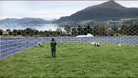 Nofence Training animals