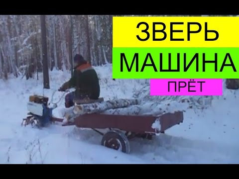 МОТОБЛОК НЕВА. МАШИНА ЗВЕРЬ. ЗИМА. ВОЗИМ ЛЕС. СУРОВЫЕ МУЖИКИ.