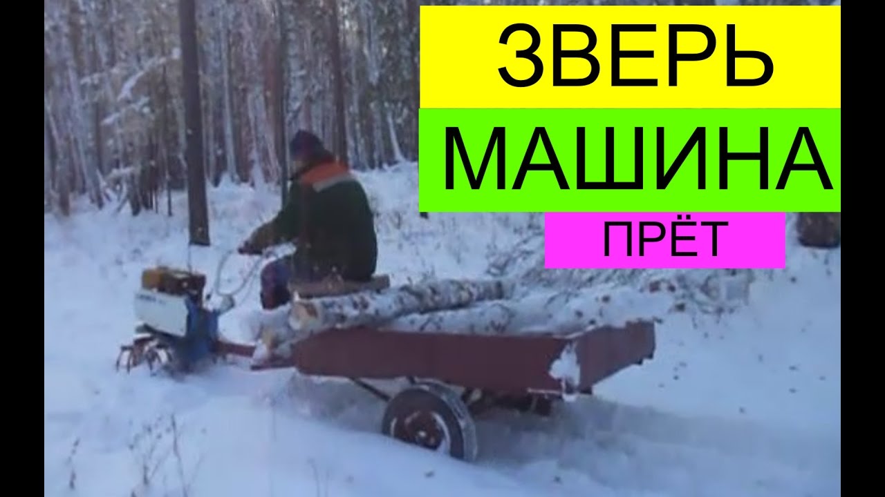 Машина зверь 5 букв
