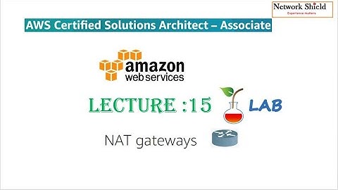 Lecture 15: VPC NAT Gateway | LAB