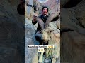 Markhor Hunting Gilgitbaltistan Pakistan Markhor Beautiful Pakarmy Tranding Dailyvlog
