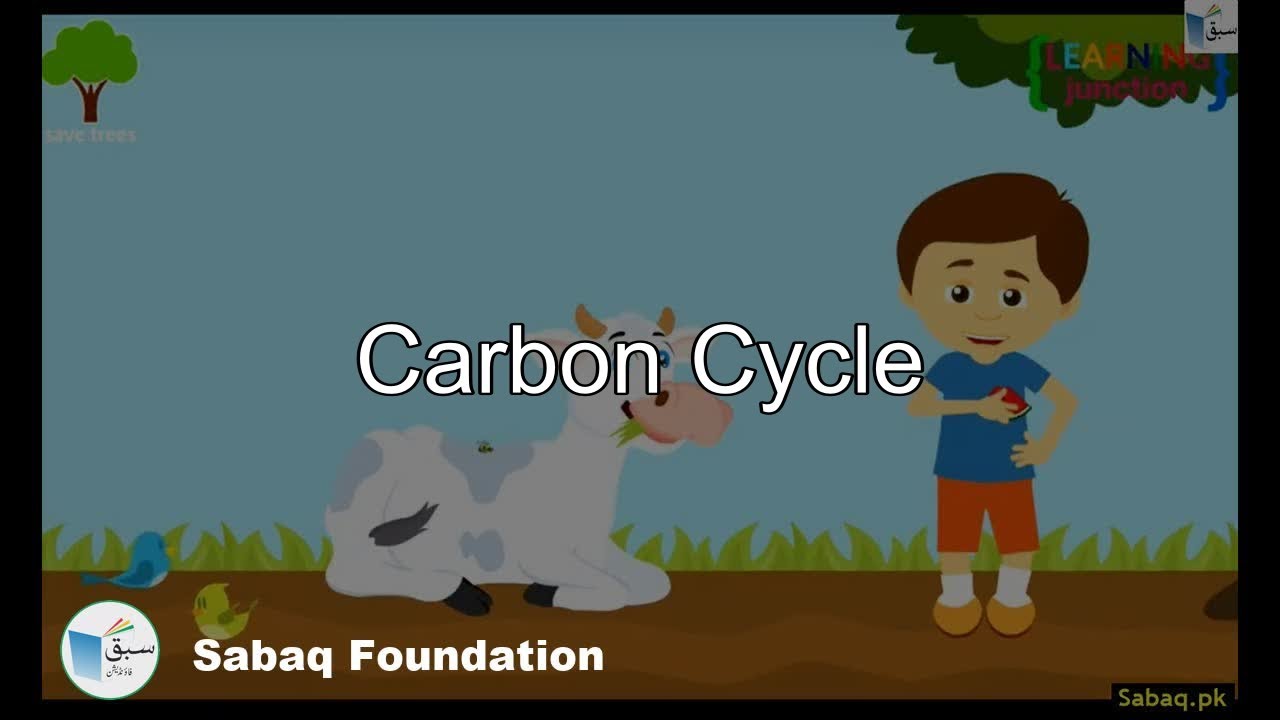 Carbon Cycle, Biology Lecture | Sabaq.pk - YouTube