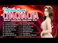 Lk Cha Cha Cha Nhạc Trẻ Hải Ngoại Hay Nhất - Cơn Mưa Băng Giá - Album Cha Cha Live Band