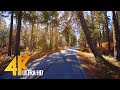 [4K 60FPS] Scenic Drive - Chiwawa River Road, Leavenworth, Washington State. Part #1