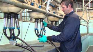FRS MILKING COURSE: CLUSTER ATTACHMENT
