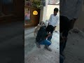 Cute puppy chinnu trying to kiss him #cutepuppy #cutepuppy_shorts #cutepets @pugazhkaviyan3217