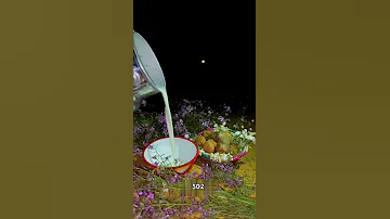 الصفوف الأخيرة ماهيب صفي 