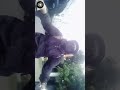 Pov : Ketika Banyak Problem Kehidupunk