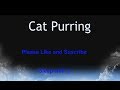 Black Screen Cat Purring. 8 hour sleep video