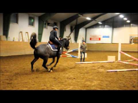 Video: Hur Man Tränar En Ung Häst