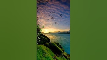 الحمد لله دائما وابدا #تلاوة_خاشعة #القرآن_الكريم #اكسبلور #لايك #لا_اله_الا_الله