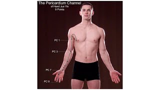 PERICARDIUM CHANNEL OF HAND JUEYIN POINTS ACCORDING TO REGION AND CHANNEL PATHWAY