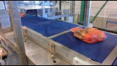 CPS Case Packing Systems - CL64