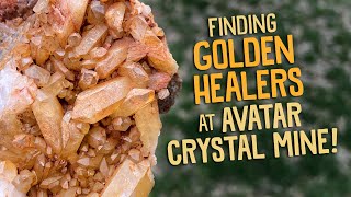 Finding Golden Healers and Other Crystals at Avatar Crystal Mine!!