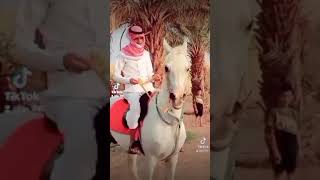 الفنان عايد الرشيدي  رفع  على الخيل استعراض