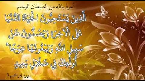 سورة ابراهيم الآية 3 للقارئ سعد الغامدي .. حالة واتساب