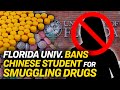 University of florida bans student from entering campus  china in focus